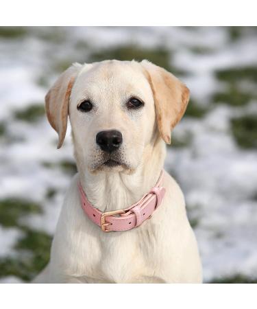 JASGOOD Leather Dog Collar for Small Medium Large Dogs | Adjustable Soft Breathable Padded Puppy Collar | Heavy Duty Waterproof Pet Collar in Pink | Size M Neck 16.73 -20.66, Width 0.98 - Buy Online on GoSupps.com