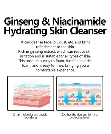 Gentle Face Cleanser With Niacinamide - Deep Clean Impurities Rich Fine Foam Moisturizing Easy Rinse For All Skin Types(2PCS) - Buy Online on GoSupps.com