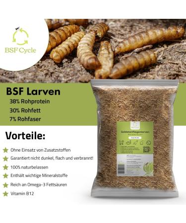 Premium Soldier Fly Larvae 5kg - Nutritious Food for Birds Fish Rodents Reptiles & Hedgehogs Ideal Alternative to Mealworms - Buy Online on GoSupps.com