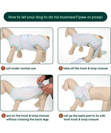 Kuoser Dog Recovery Bodysuit for Male & Female Dogs - Breathable Leakage Protection Anti-Lick Surgery Suit (Size M Green) - Buy Online on GoSupps.com