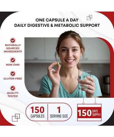 Berberine Ceylon Cinnamon - All-in-1 Supplement with Bitter Melon AVG Gymnema sylvestre Turmeric Milk Thistle Licorice Holy Basil Fenugreek Banaba 150 count (pack of 1) - Buy Online on GoSupps.com