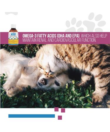 Revive Active - Omega 3 Liquids for Dogs and Cats 473ml Skin and Coat Supplement - Promotes Cognative Health Maintain Well Being -Supports Renal and Cardiovascular Funtions. - Buy Online on GoSupps.com