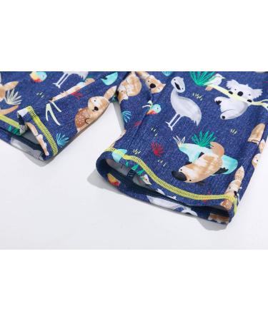 BONVERANO Toddler Boys Swimsuit with UPF 50+ Sun Protection - Koala Design - 2-3 Years - Buy Online on GoSupps.com