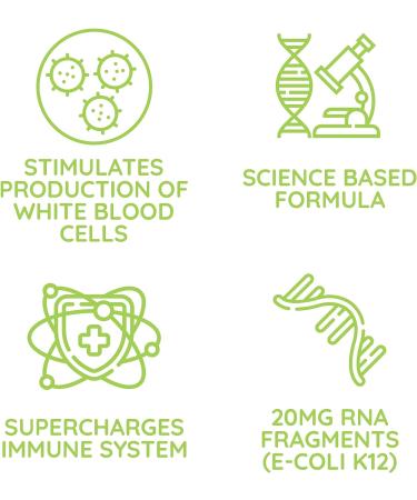 Beljanski ReaLBuild Immune Support Supplement - 10 Doses - Buy Online on GoSupps.com