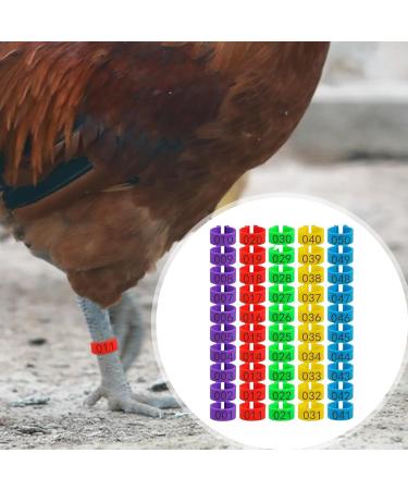 Toseky Chicken Numbered Leg Tags Duck Poultry Leg Labels | Numbered Leg Band Chicken Identification Leg Bands for Chicken Ducks  - Buy Online on GoSupps.com