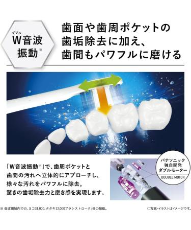 Panasonic EW-DP36 Doltz Bluetooth Electric Toothbrush - 3 Modes 2022 Model Shipped from Japan (Black - Buy Online on GoSupps.com