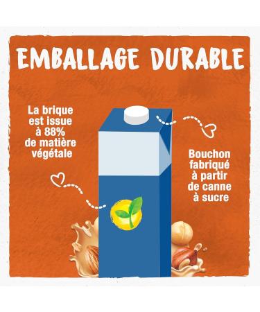 BJORG - 3 Nuts Drink - No Added Sugar - 100% Plant-Based - Mix of Hazelnuts Almonds and Macadamia Nuts - Rich in Protein - Eco-Friendly - 1L - Buy Online on GoSupps.com