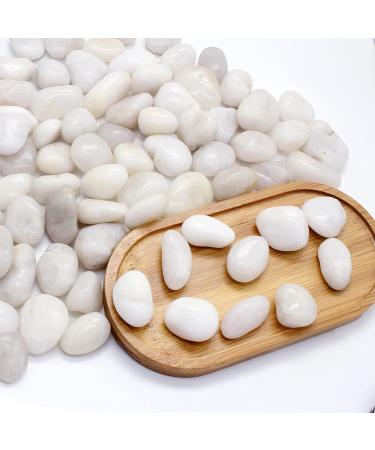 LONTOM Natural White Pebbles 2.2lb Decorative Stone Polished Gravel River Rocks for Plants Home DIY Decor Aquarium Gravel Vase Fillers Fairy Garden Crafting Animal Habitat Medium - Buy Online on GoSupps.com
