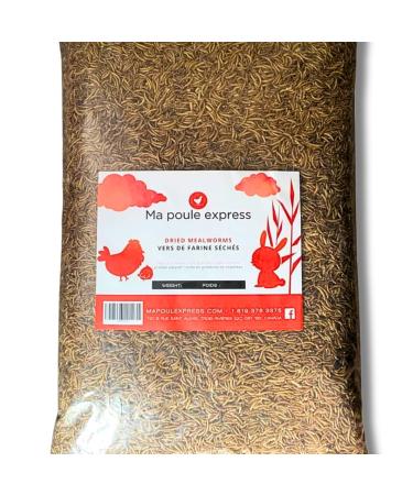 Dried Mealworms for Bird Poultry 11 LB