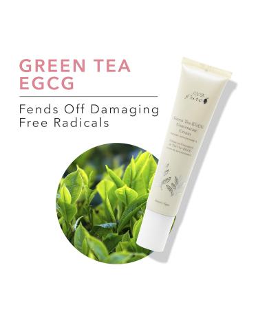 100% Pure Green Tea EGCG Face Cream | Anti-Aging Antioxidant Hydrating Moisturizer with Squalene & Caffeine | 1.4 Oz - Perfect for Men & Women - Buy Online on GoSupps.com