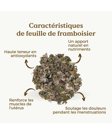 FEUILLE DE FRAMBOISIER TISANE BIO 100g (50 Tasses) | Infusion Fin de Grossesse | Th de Pr paration l'accouchement REPLANTEA - Buy Online on GoSupps.com