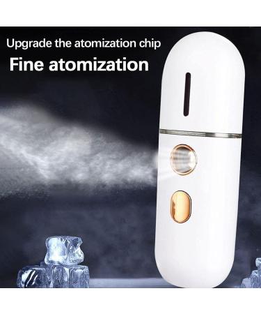 Besuso 2X Portable Steamer Mini USB Humidifier Nano Sprayer Handy Face Steamer Mist Machine - Buy Online on GoSupps.com