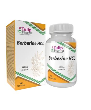 Tulip BioPharma Berberine HCL 500mg 120 capsules LABORATORY TESTED BY AGROLAB GERMANY High dose Non GMO No fillers or additives