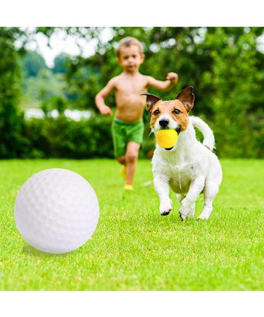 Pokiiulk Foam Golf Practice Balls - 40 Pcs Set for Backyard Training - Realistic Feel and Limited Flight - Multicolor - Buy Online on GoSupps.com