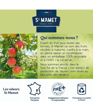 ST MAMET | 150 Trays of Strawberry Peach Apricot Plum and Currant Jelly Jam | Individual dose of 25 g to vary the pleasure - Buy Online on GoSupps.com