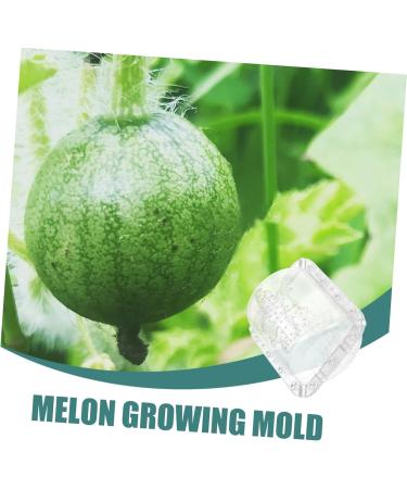 Milisten 2pcs Fruit Shaping Mold Fruits Small Fruit Mold Shaper Mold Fruit Accessory Accessories Vegetable - Buy Online on GoSupps.com