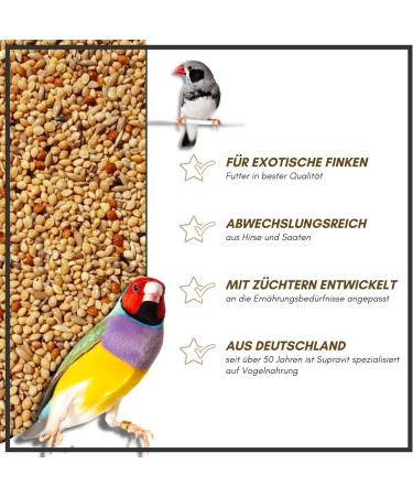 Supravit Exotic Feed 2.5kg | High-Quality Mixed Feed for Exotic Finches | Boosts Feather Health & Mating Readiness - Buy Online on GoSupps.com