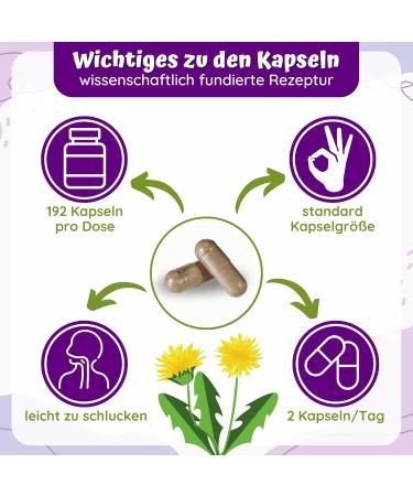 LOODUS 192 Liver Capsules - Vegan Liver Support with Daria Thistle Artichoke & Dandelion for Optimal Function - 3 Month Supply - Buy Online on GoSupps.com