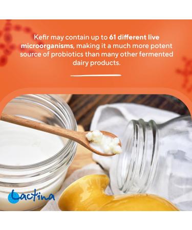 Kefir Starter Culture Kefir Ferment Kefir Culture Powder Healthy Stomach - Buy Online on GoSupps.com