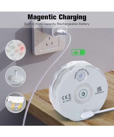 Pool Lights Shower Light Pond Lights Rechargeable Submersible LED Lights Spa Lights for Hot Tub LED Pool Light for Above Ground Pool Decorations Outdoor Waterproof 1 Pack 3.3'' - Buy Online on GoSupps.com