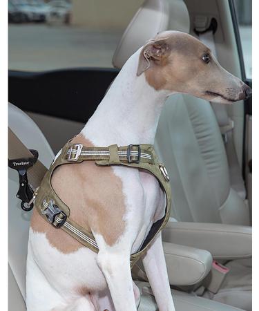 Truelove Car Seat Belt Safety Buckle Lock for Pet Harness - Portable & Lightweight - Black Unisize - Buy Online on GoSupps.com