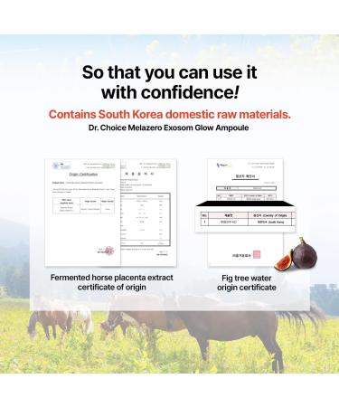 Hybrid Dr.Choice Melazero Exosome Glow Ampoule 40ml - Melanin pigmentation freckles toning Glow functional patented Melazero V2 arbutin niacin exosome placenta - Buy Online on GoSupps.com
