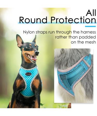 Thinkpet No-Pull Dog Harness & Leash Set - Breathable Adjustable Harness for Small Medium & Large Dogs - Padded Reflective Safety Gear - Blue - Buy Online on GoSupps.com