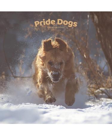 Cattle Head Skin - Premium Kausnack for Dogs | 100% German Beef | Odor-Neutral Bag | 20 cm Piece | 5kg - Pridedogs - Buy Online on GoSupps.com