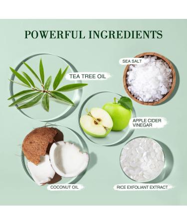 Gommage du Cuir Chevelu L'Arbre Th Gommage du Cuir Chevelu la Menthe Nettoyage du Cuir Chevelu Shampoing L'Arbre Th Anti-Chute de Cheveux Masseur de T Te Cadeau de F Te des M Res - Buy Online on GoSupps.com