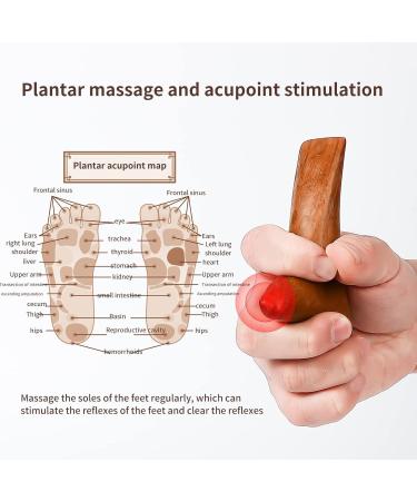 2-Piece Wooden Massage Roller Set - Back & Body Relief Trigger Point Therapy Tool for Neck Legs & More - Buy Online on GoSupps.com