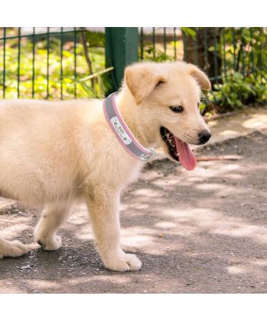 Senristar Personalized Reflective Leather Dog Collar - Engraved Name Tape for Small Medium Large Dogs & Cats (XL 3.0 cm Width 45-55 cm Neck Pink) - Buy Online on GoSupps.com