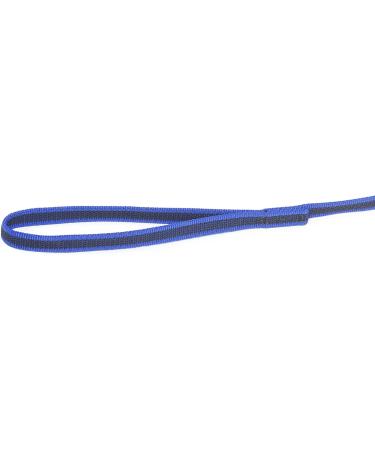 IDC Color & Gray Rubberized Leash - 14mm x 1.2m with Loop | Blue-Grey - Durable & Stylish Dog Leash for International Shipping - Buy Online on GoSupps.com