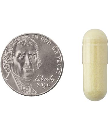 Natrol Alpha Lipoic Acid 600mg - 30 Capsules | Antioxidant Support - Buy Online on GoSupps.com