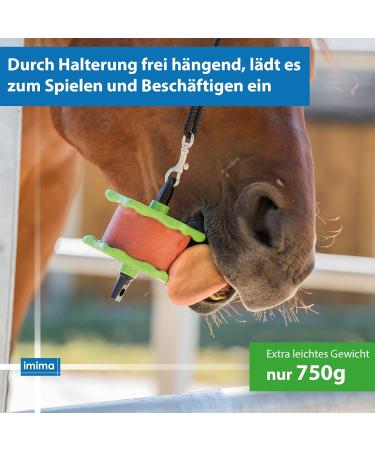 Buy Imima Lolly Lick Set - Banana Lavender Bronchial 1x Holder 2.49 kg | International Shipping Available - Buy Online on GoSupps.com