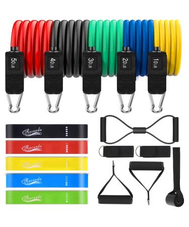 Resistance Bands Set 17pcs, Resistance Band, Exercise Bands Fitness Workout with Wide Handles, Door Anchor, Steel Clasp, Carry Bag, Ankle Straps for Home Gym Outdoor Travel