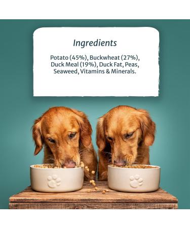 Burns Pet Nutrition Hypoallergenic Dry Food for Adult and Senior Dogs Grain Free Duck & Potatoes 12 kg - Buy Online on GoSupps.com