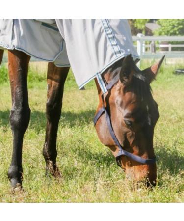 Marengos Weide Halver | Soft Halter for Horses & Ponies | Durable Handlebar for Pasture | Night Blue Warmblood Size | International Shipping - Buy Online on GoSupps.com