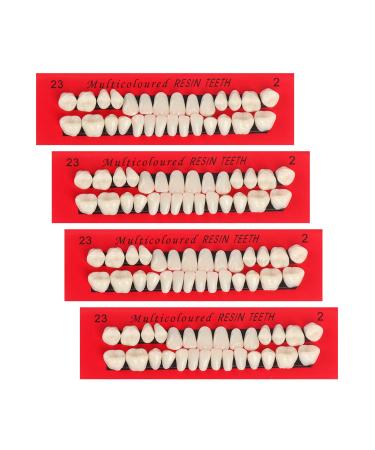 4 Sets Acrylic Resin Fake Teeth Complete Acrylic Resin Teeth Denture Dental Teeth Dentures Upper and Lower Synthetic Resin Teeth for Replacement DIY Halloween  112 PCS  23 A2