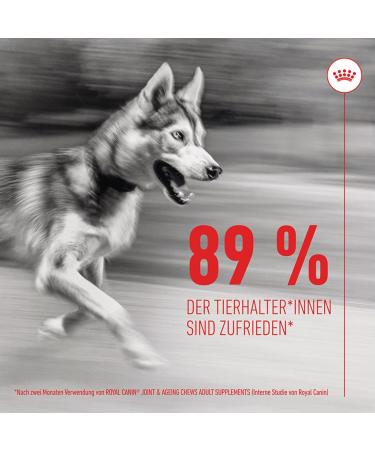 Royal Canin Joint & Ageing Chews | Double Pack | 2 x 240 g | Snacks for Adult Dogs of All Sizes & Breeds | In Resealable Bag | Developing with Veterinarians | With Green-lipped Mud - Buy Online on GoSupps.com