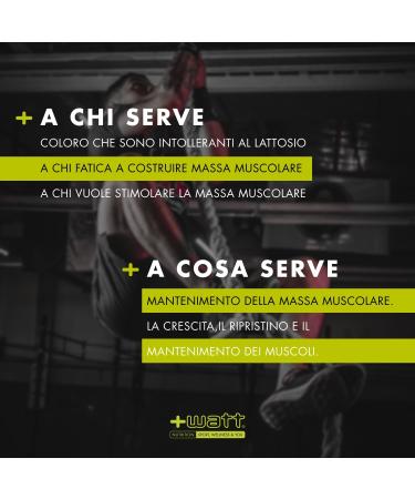 +WATT TOP EGGXELLENT Protein BUSTA 750 GR Cocoa - Buy Online on GoSupps.com