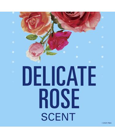 Buy Secret Fresh Antiperspirant Deodorant for Women - 48hr Odor Protection PH Balancing Minerals Clear Gel Delicate Rose Scent 3.4 oz - International Shipping Available - Buy Online on GoSupps.com