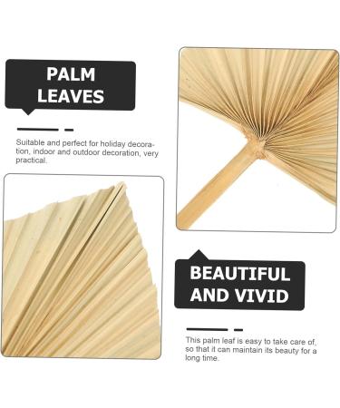 Zerodeko 15 Pcs Art Wall Hanging Decoration Dried Palm Spear African Hand Fan Trimmed Dried Palm Leaves Tropical Palm Flowers Hawaiian Palm Leaves Faux Plant Cocktail Cattail Fan Palm Leaf As Shownx5pcs 34.5X16X1CMx5pcs - Buy Online on GoSupps.com