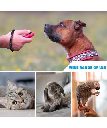 Oyefly Dogs Clicker - 5 Pack Training Clickers with Big Button for Dogs Cats & Horses (5 Colors) - Enhance Pet Training & Education - Buy Online on GoSupps.com