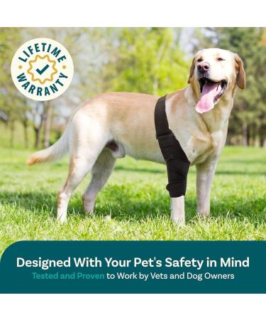 Dog Knee Brace - with 10 Support Sticks Dog Back Leg Brace - Comfortable Hip and Leg Protector Breathable for Small Senior and Disabled Dogs - Buy Online on GoSupps.com