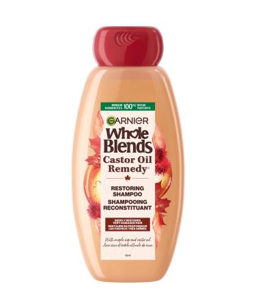 Garnier Smoothing Shampoo Whole Blends Coconut Oil and Cocoa Butter 650ml