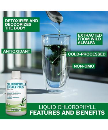 Liquid Chlorophyll Eucalyptus 500ml Cold Extracted from Non-GMO Alfalfa - Detox - Alkaline - Natural Body Deodorant Antioxidant - Made in Canada - Buy Online on GoSupps.com