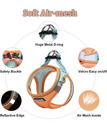 Doramio Reflective Dog Harness for Small Dogs & Cats | Breathable Step-In Design with Leash | Anti-Pull Safety Harness in Orange & Blue - Buy Online on GoSupps.com