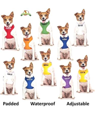 NERVOUS (Give Me Space) Yellow Colour Coded Non-Pull Dog Harness and 60cm 1.2m 1.8m Luxury Neoprene Padded Handle Lead Sets PREVENTS Accidents By Warning Others Of Your Dog In Advance (Harness & 1.8m) Harness & Long 1.8m/72inch Lead - Buy Online on GoSupps.com