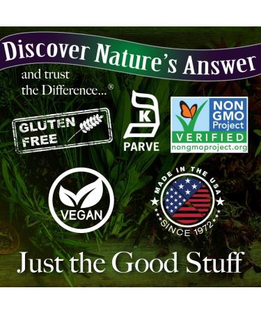 Nature Answer Sambucus Elderberry Syrup for Kids 120 ml Kid Friendly Immune Booster Daily Immune Support 4000 mg - Buy Online on GoSupps.com