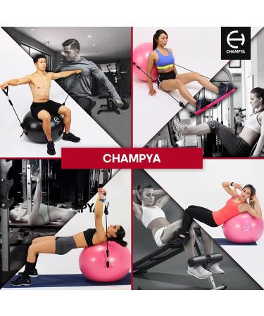 65cm Yoga Ball Chair for Pregnancy, Physical Therapy & Office - Stability Ball with Stainless Steel Pilates Bar - Black - Buy Online on GoSupps.com